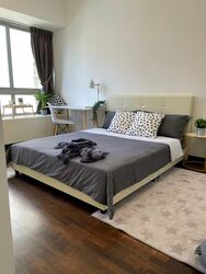 Sophia Residence (D9), Condominium #578721381